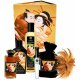 SHUNGA SWEET KISSES COLLECTION SWEET KIT VIBRASHOP