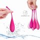 Bolas kegel - KIT DE ENTRENAMIENTO MUSCULAR PÉLVICO - 6 PCS VIBRASHOP