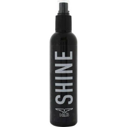 CONSERVADOR DE LÁTEX MISTER B SHINE en Vibrashop para tus prendas de látex