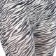 intimax zebra leggign VIBRASHOP