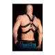 Arnés masculino bondage ouch andreas Vibrashop