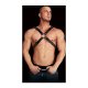 ADONIS - HIGH HALTER - NEGRO VIBRASHOP