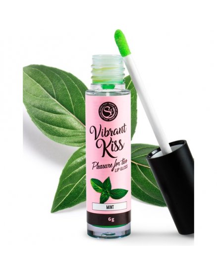 LIP GLOSS VIBRANT KISS - MENTA VIBRASHOP