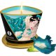 SHUNGA VELA DE MASAJE FLORES DE LA ISLA 170 ML VIBRASHOP
