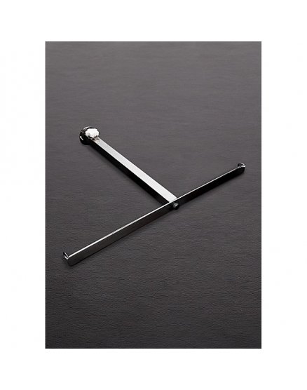 THE ANAL IMPALER - ACERO INOX VIBRASHOP