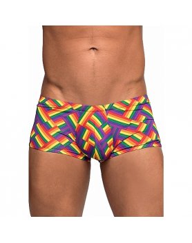 MINI BOXER PRINT - MULTICOLOR VIBRASHOP